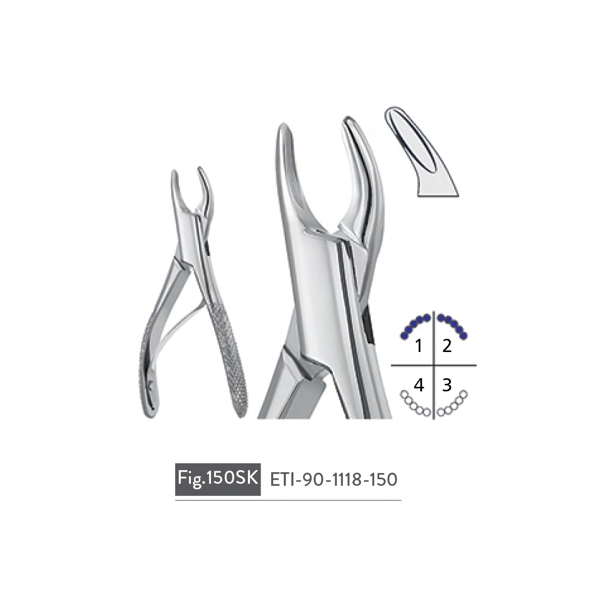 extracting-forceps91
