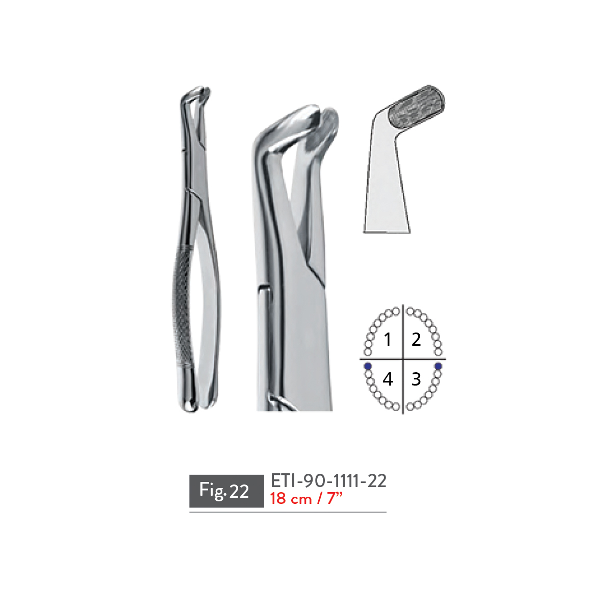 extracting-forceps84