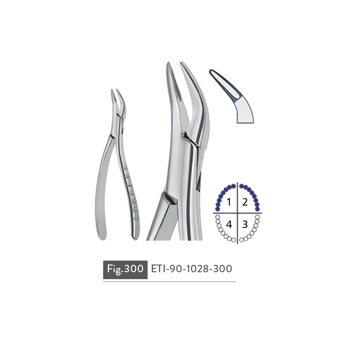 extracting-forceps51