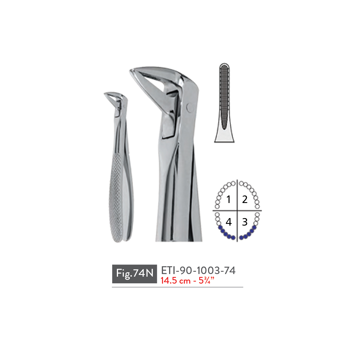 extracting-forceps41