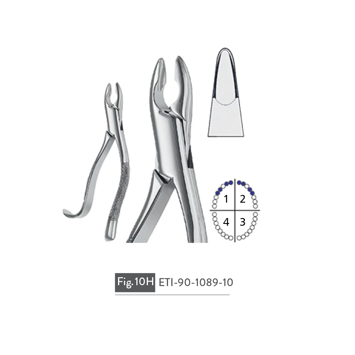 extracting-forceps71