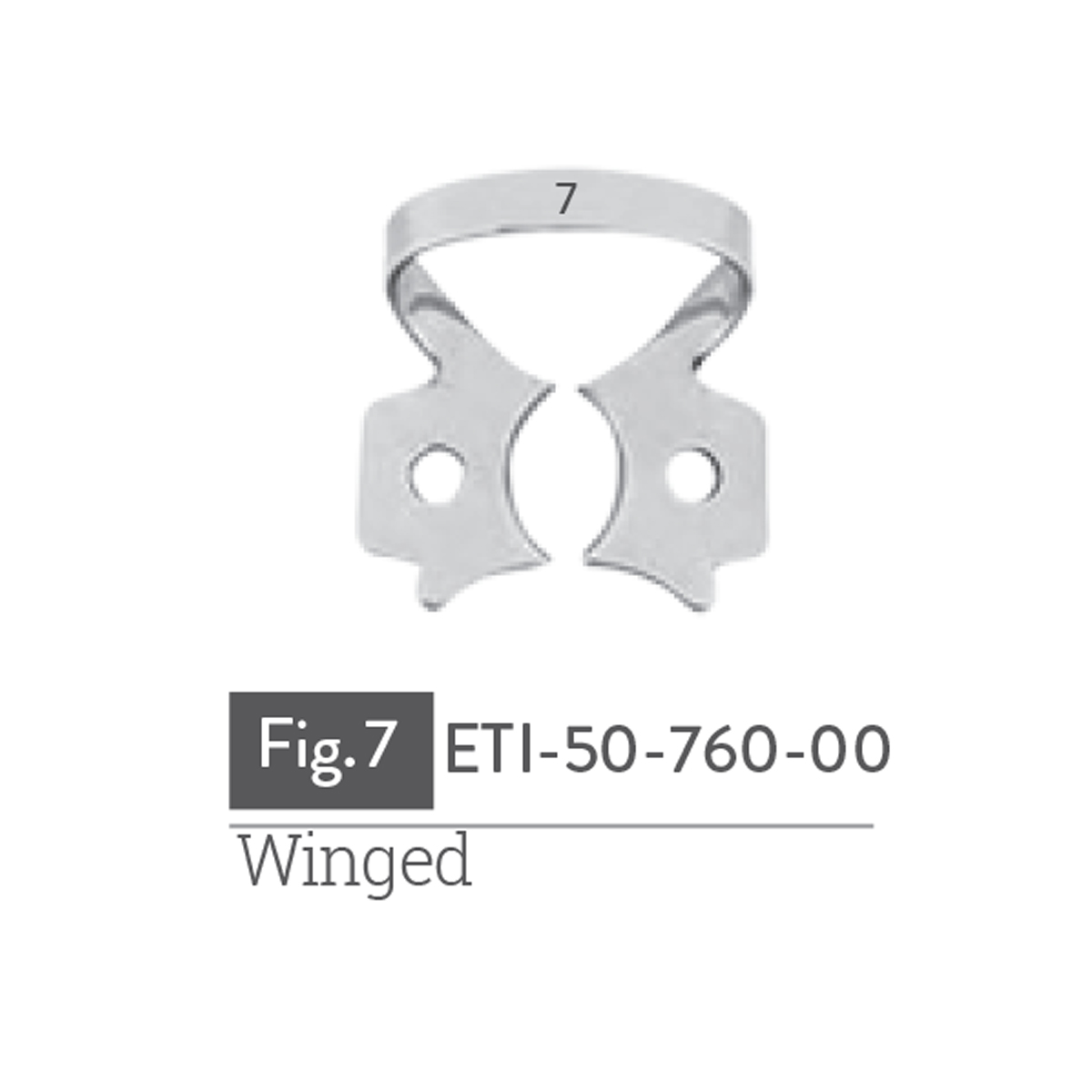 winged11