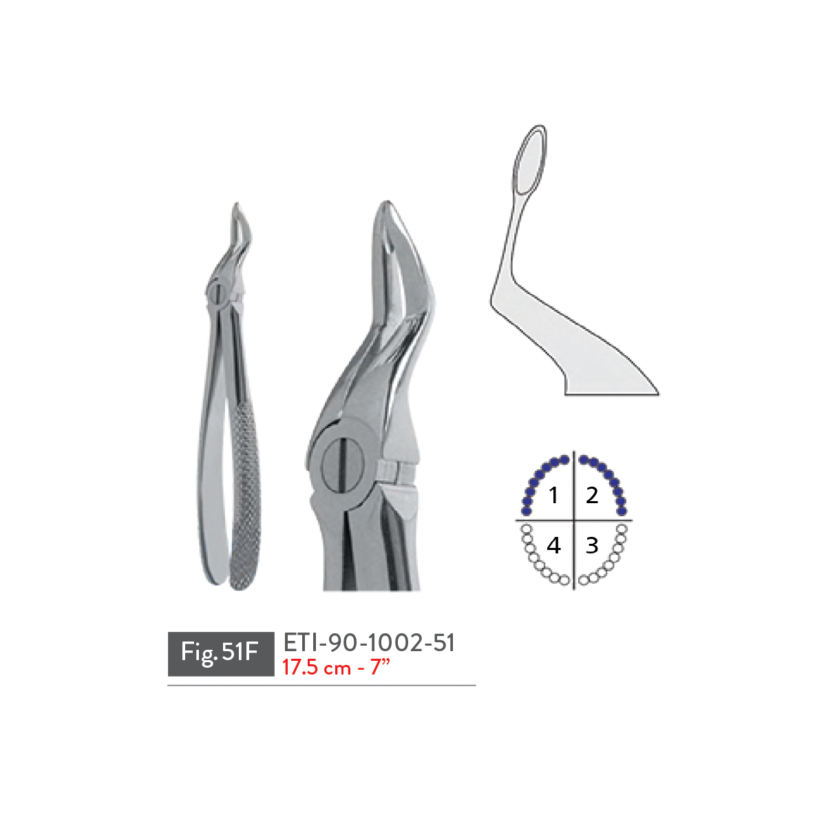 extracting-forceps40