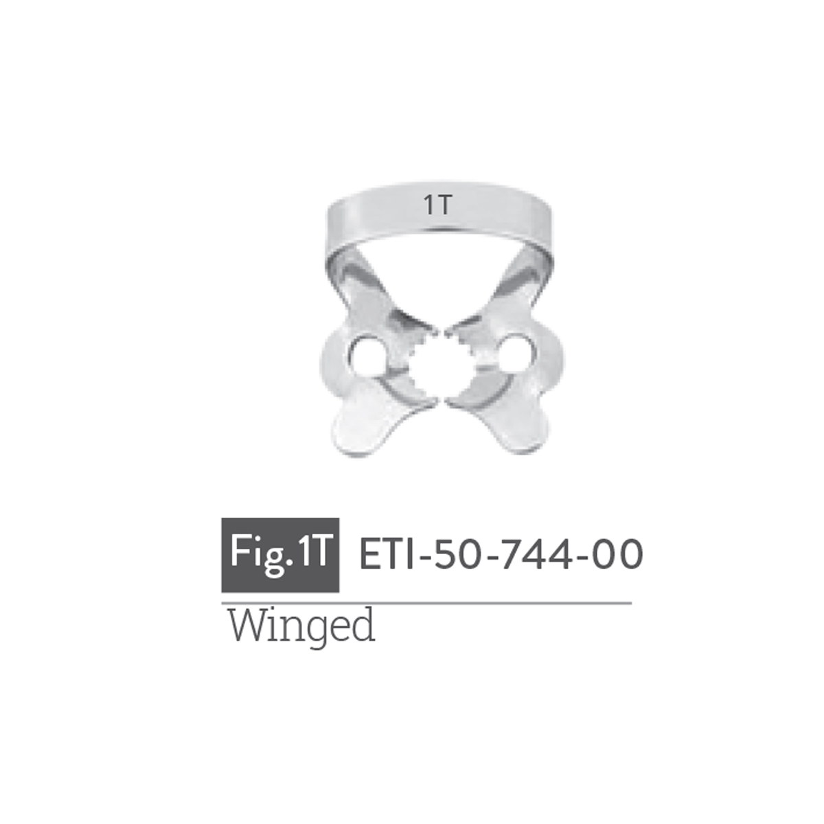 winged4