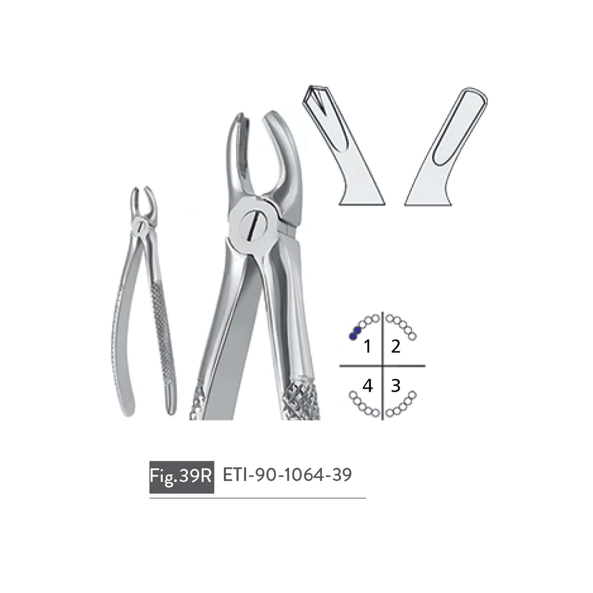extracting-forceps65