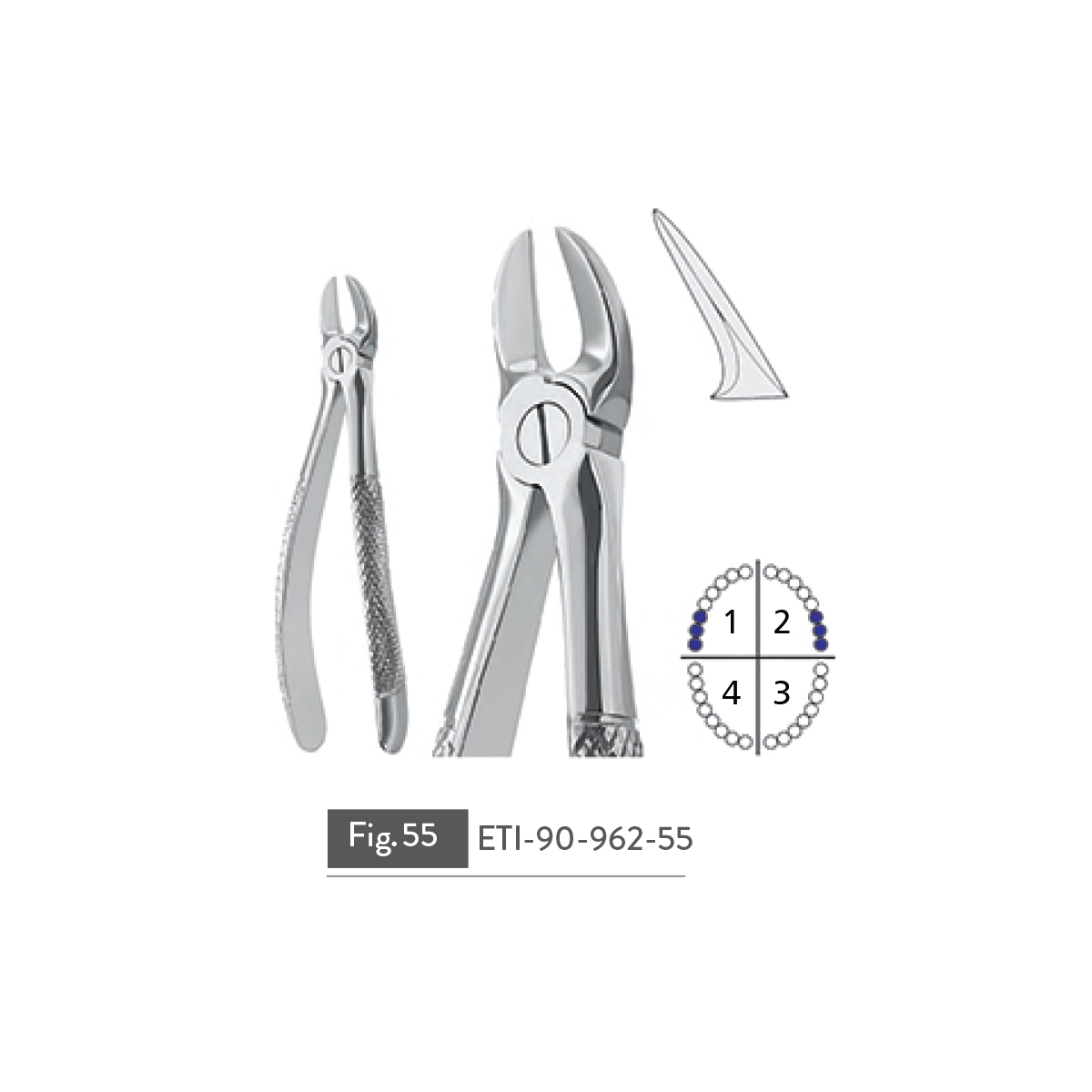 extracting-forceps21