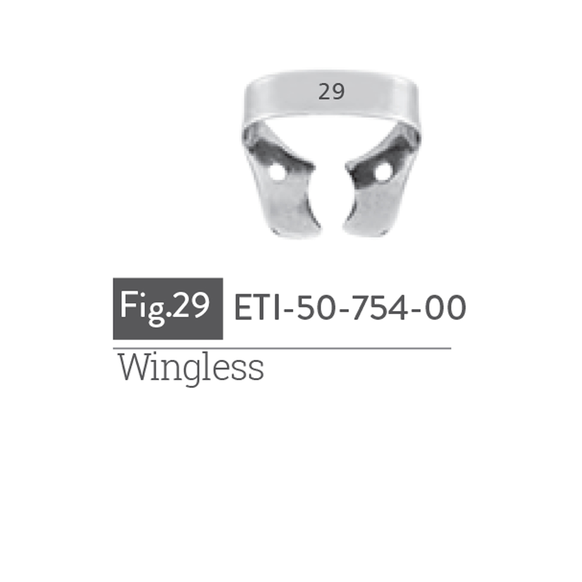 wingless1