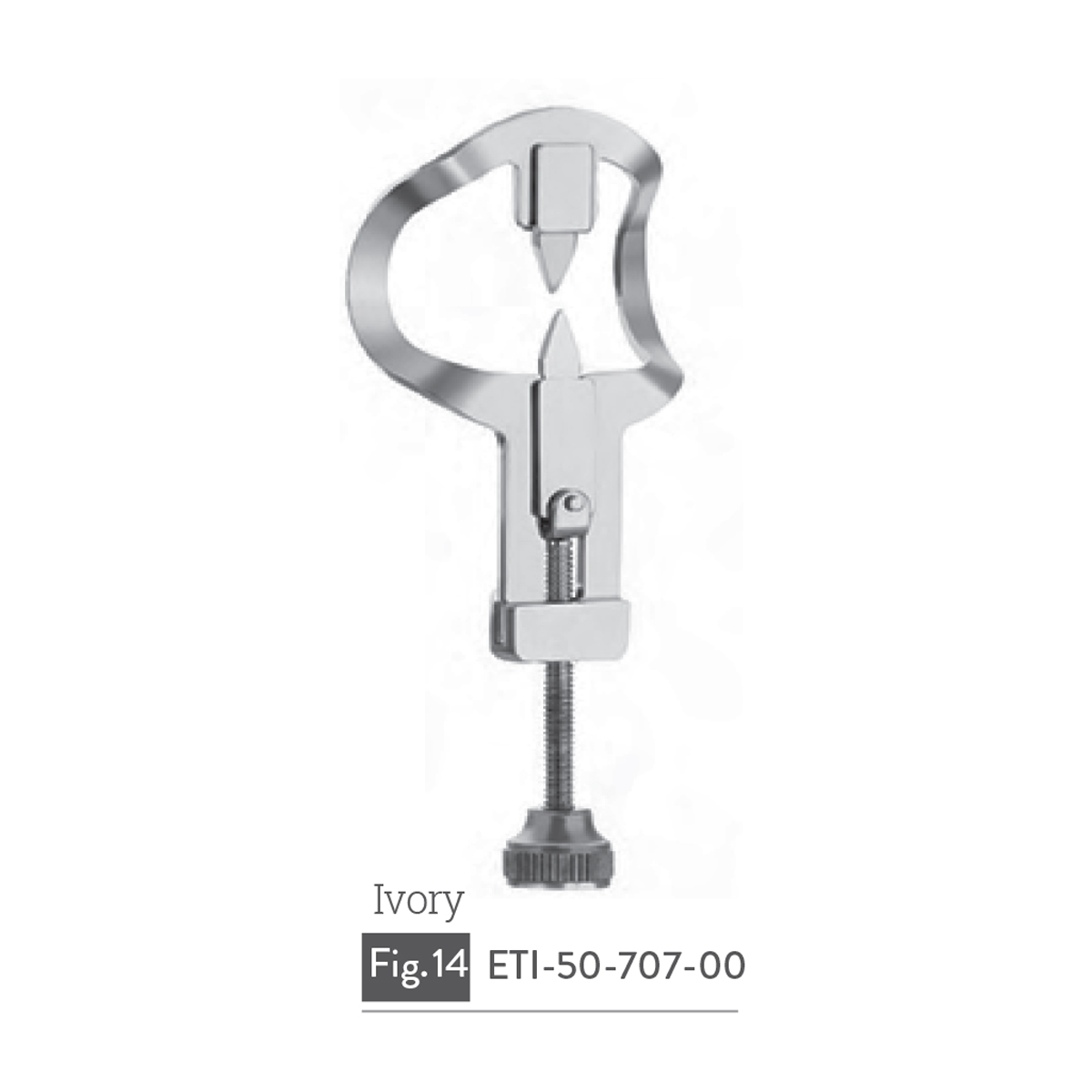 ivory3