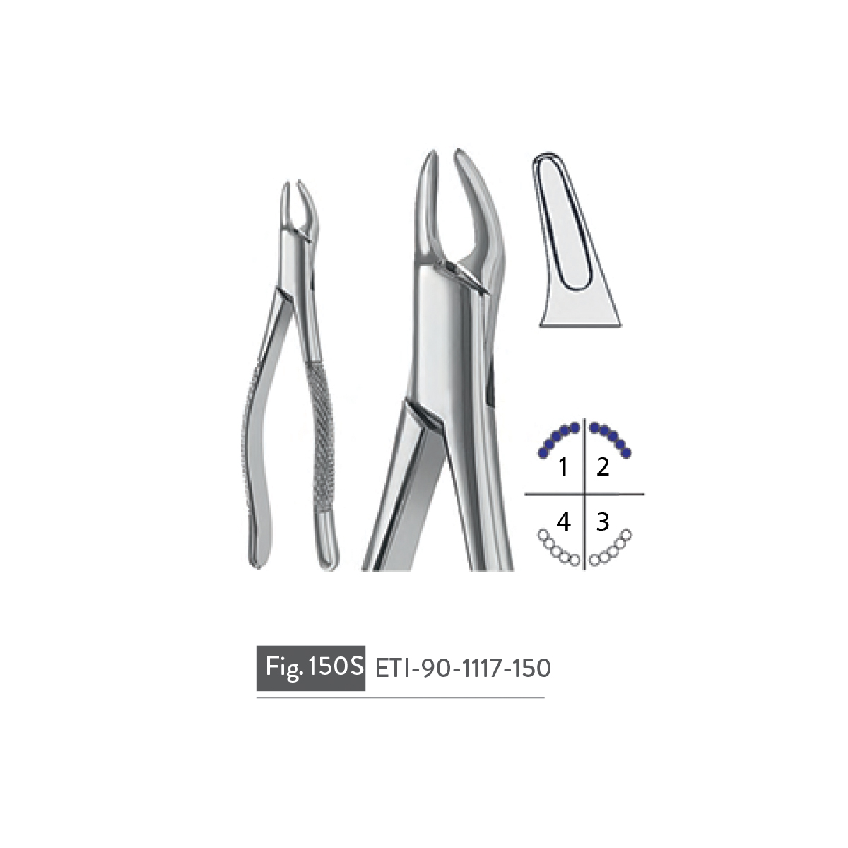 extracting-forceps90