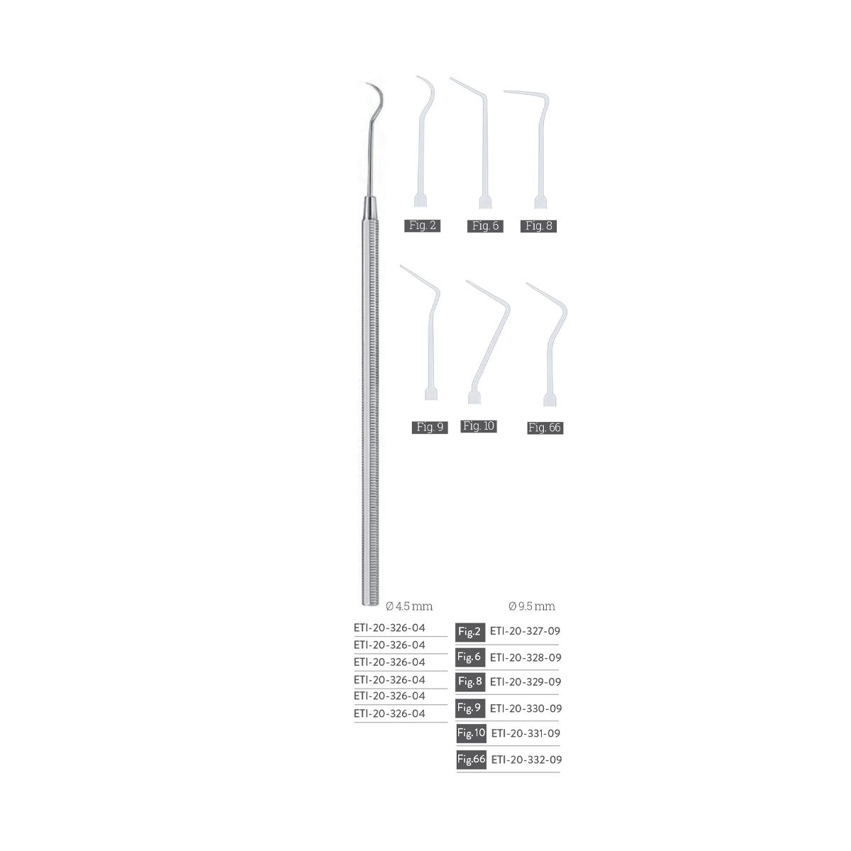 dental-exploreres