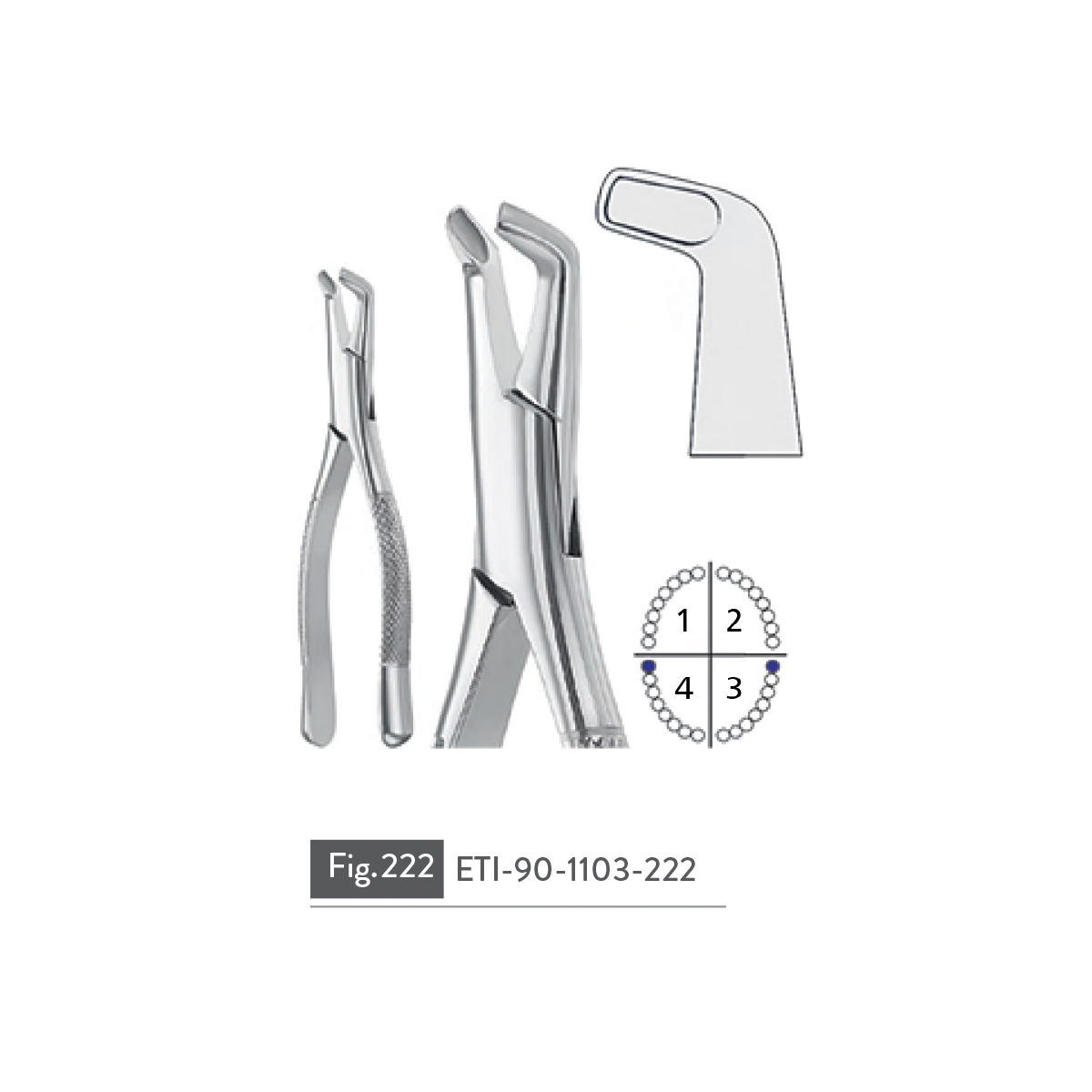 extracting-forceps78