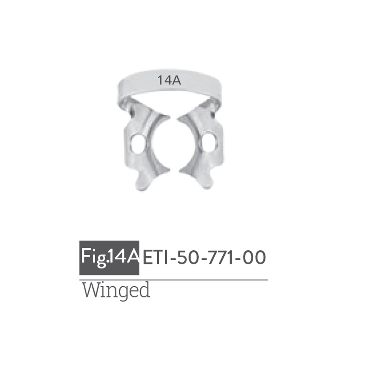 winged16