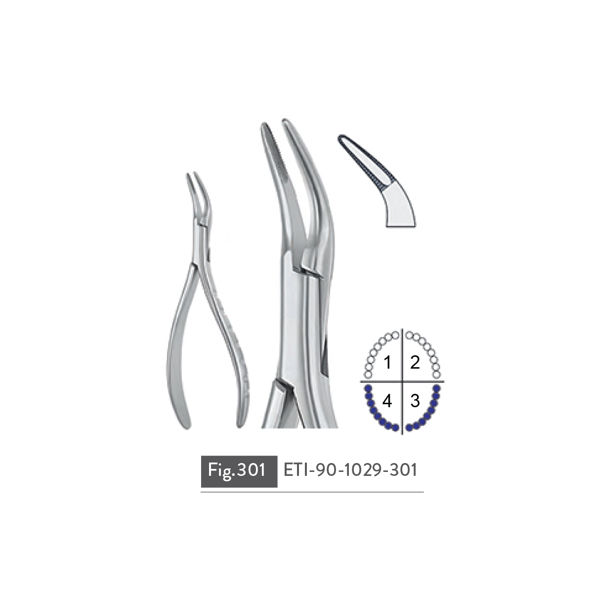 extracting-forceps52