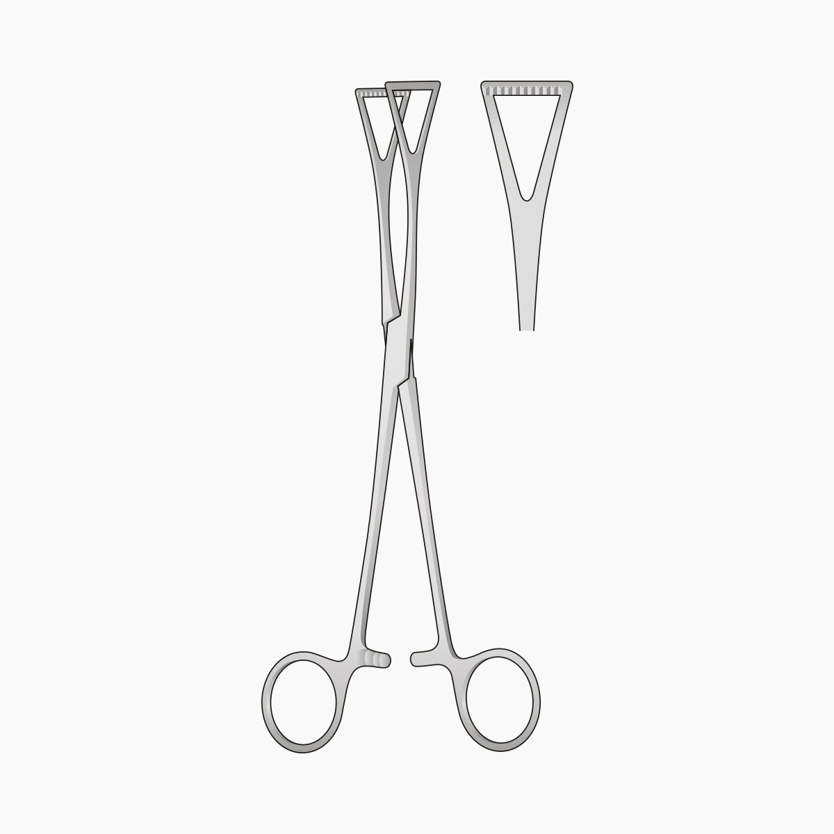 duval-tissu-forceps