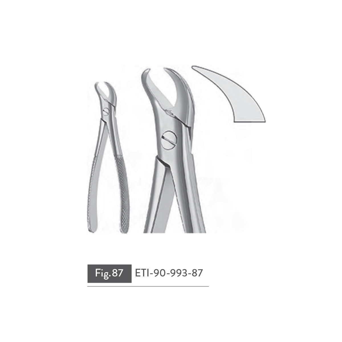 extracting-forceps37