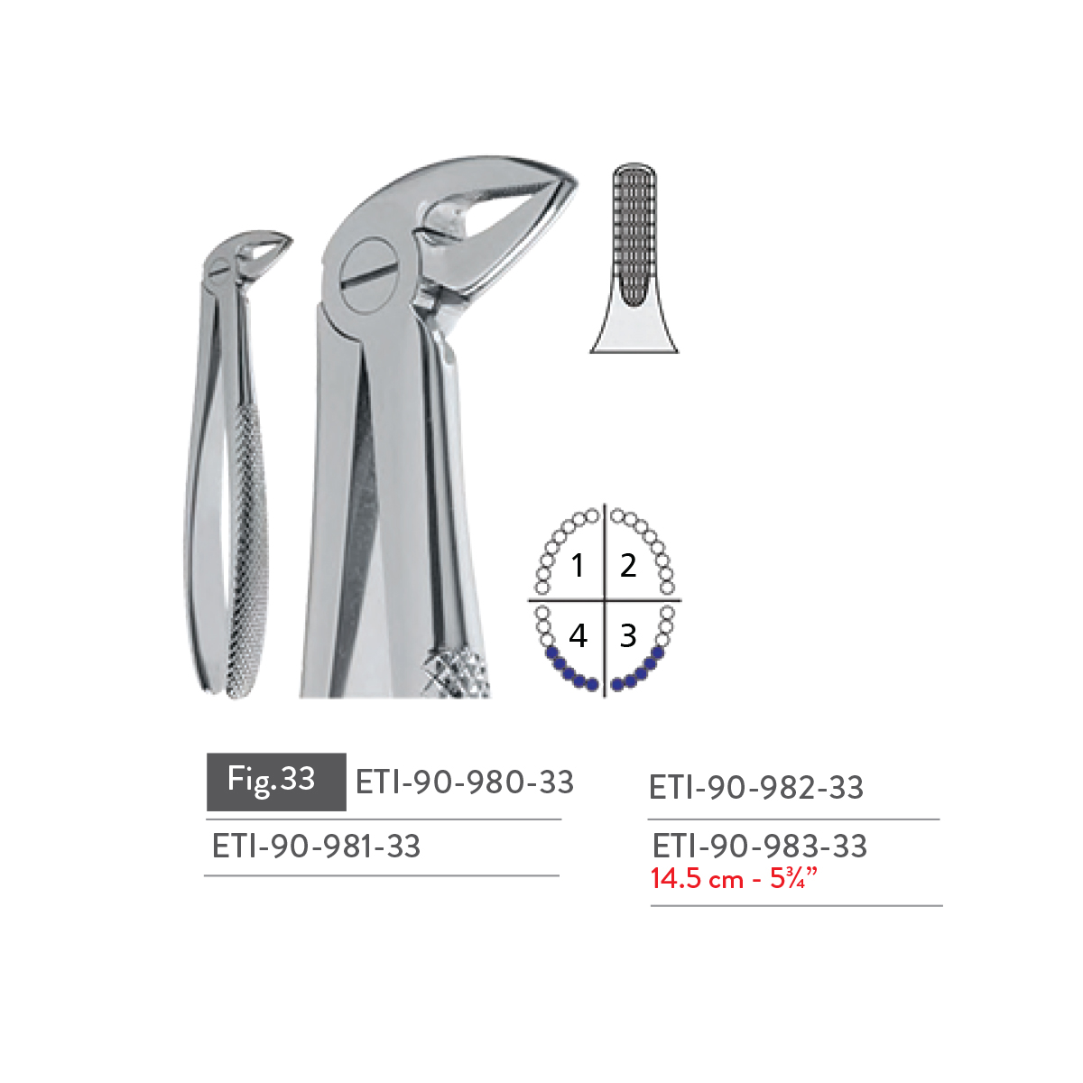 extracting-forceps29