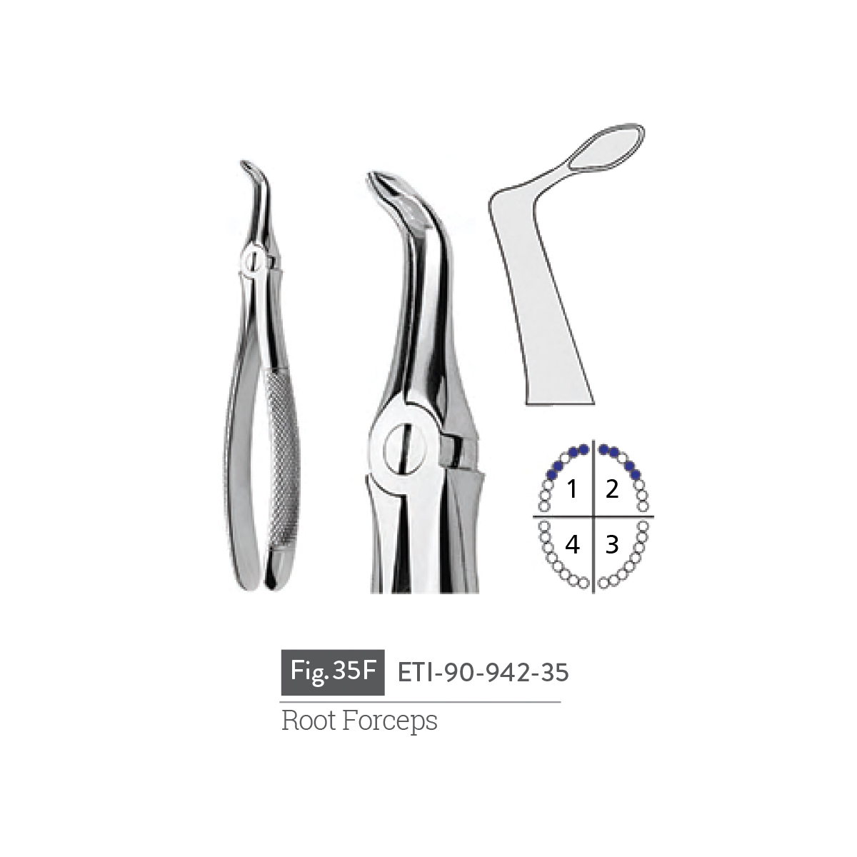 root-forceps