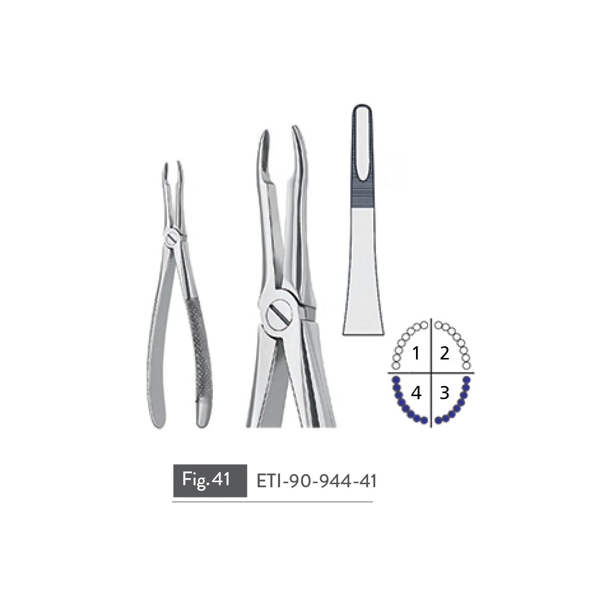 extracting-forceps15