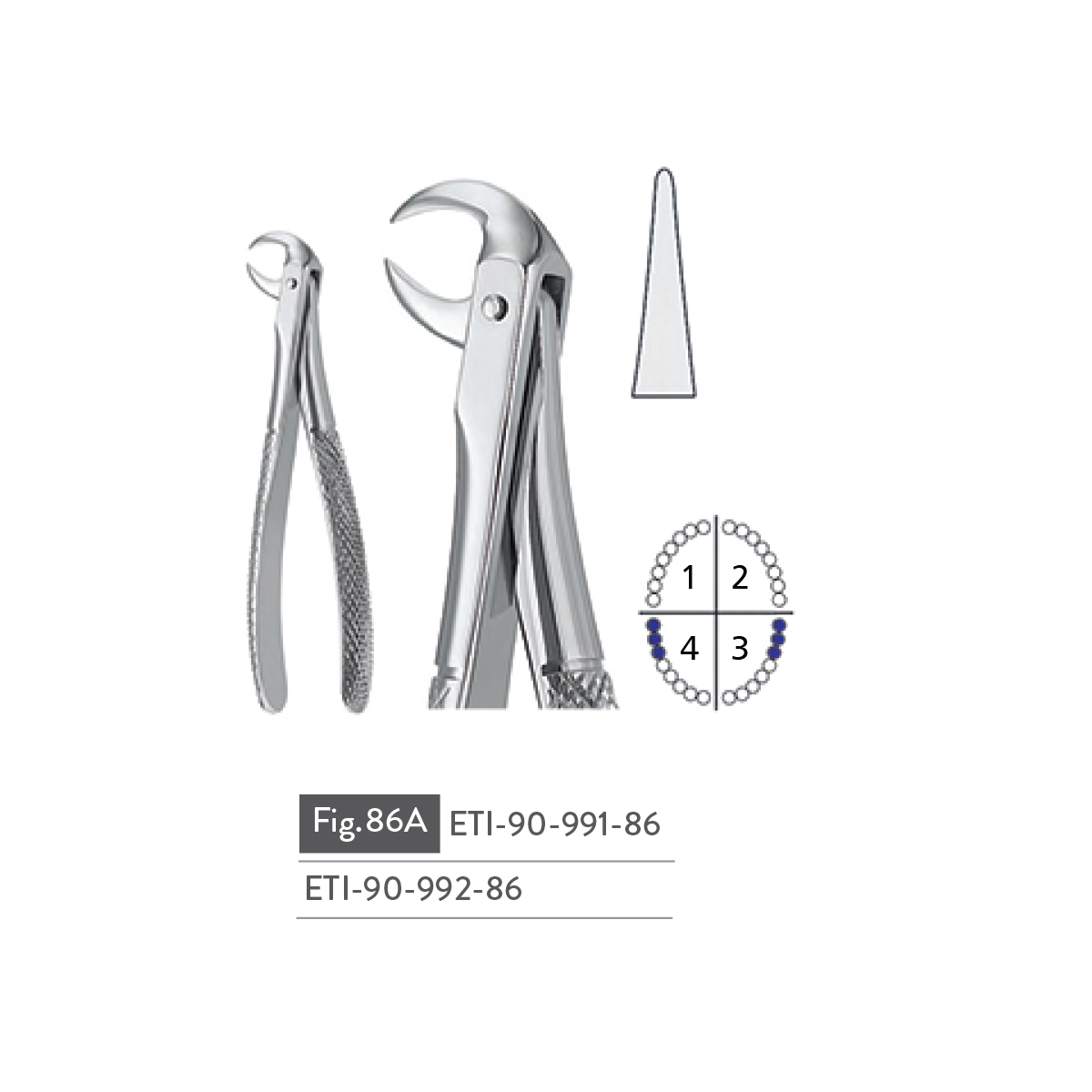 extracting-forceps36