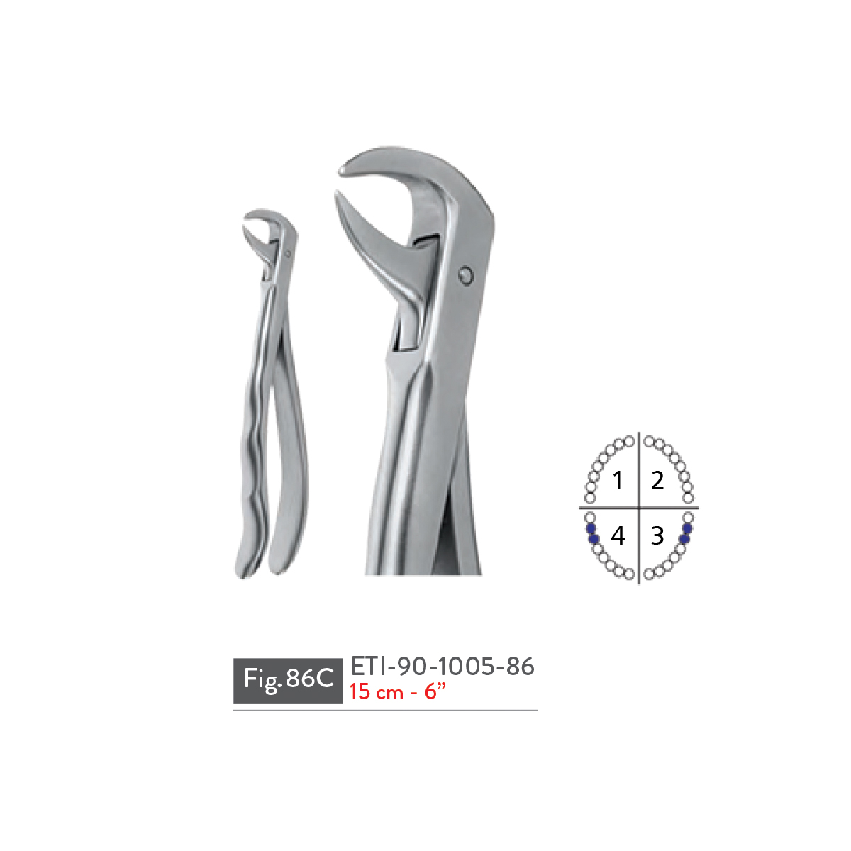 extracting-forceps43