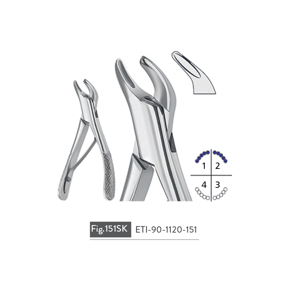 extracting-forceps93