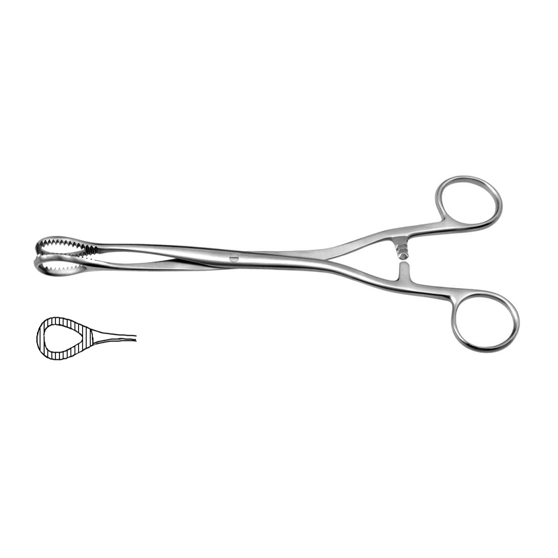 heywood-smith-sponge-holding-forceps-straight