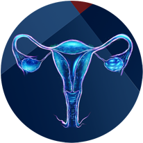 Gynecology