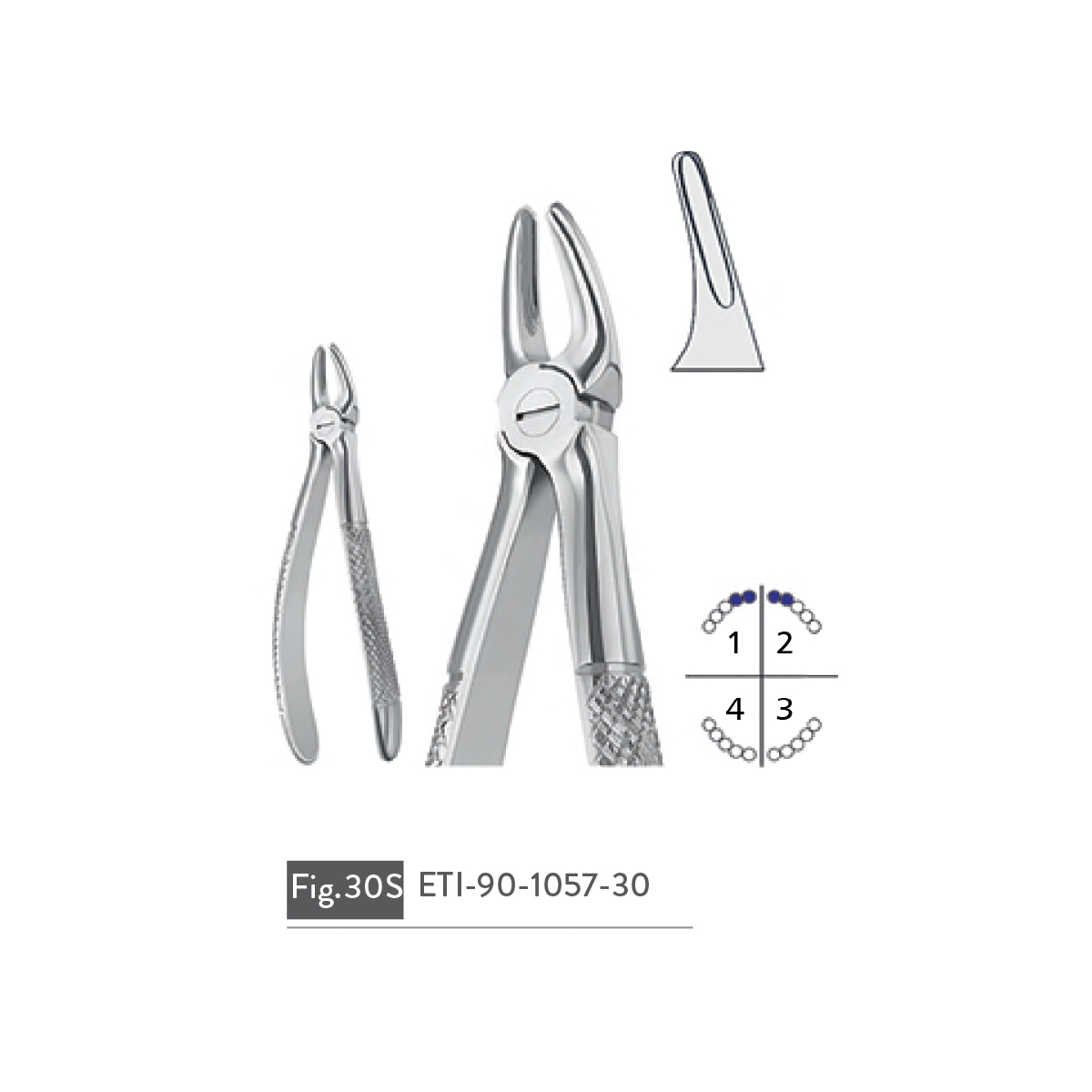 extracting-forceps58