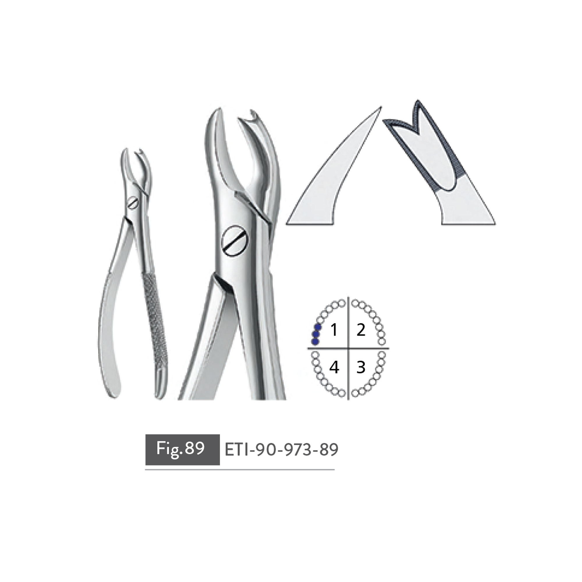 extracting-forceps25