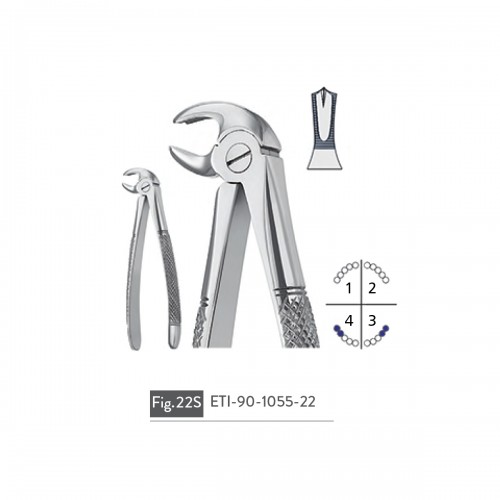 EXTRACTING FORCEPS