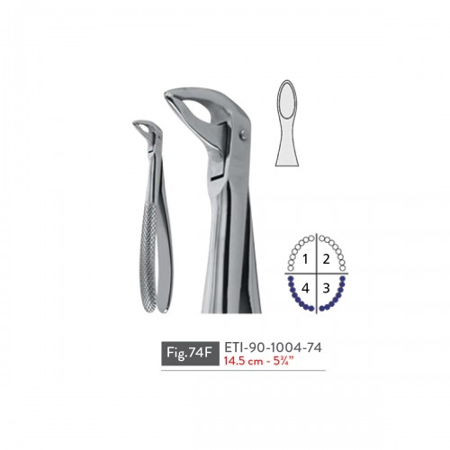 EXTRACTING FORCEPS
