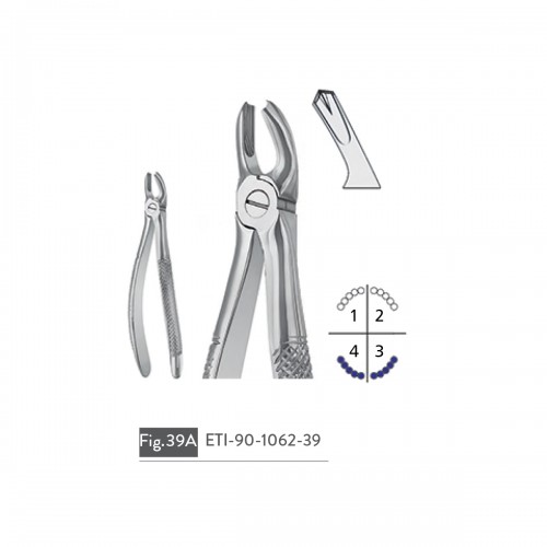 EXTRACTING FORCEPS