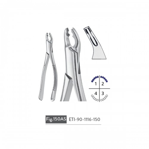 EXTRACTING FORCEPS