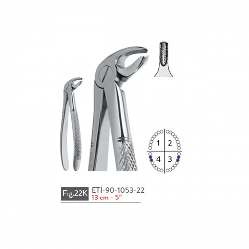 EXTRACTING FORCEPS