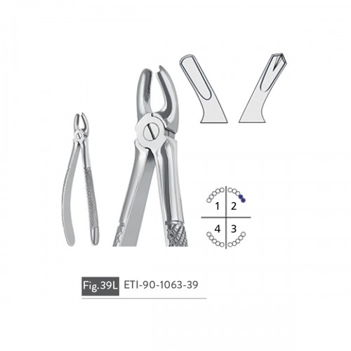 EXTRACTING FORCEPS
