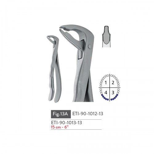 EXTRACTING FORCEPS