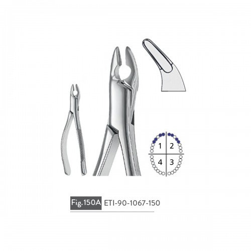 EXTRACTION FORCEPS