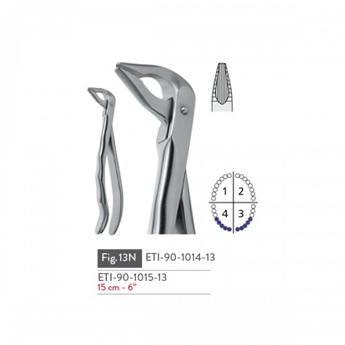 EXTRACTING FORCEPS
