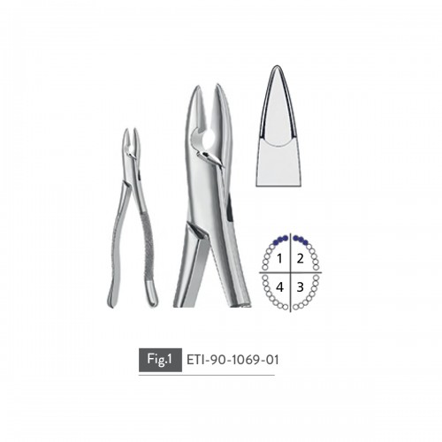 EXTRACTING FORCEPS