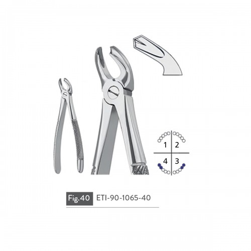 EXTRACTING FORCEPS
