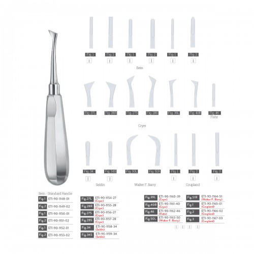 Bein - Standard Handle