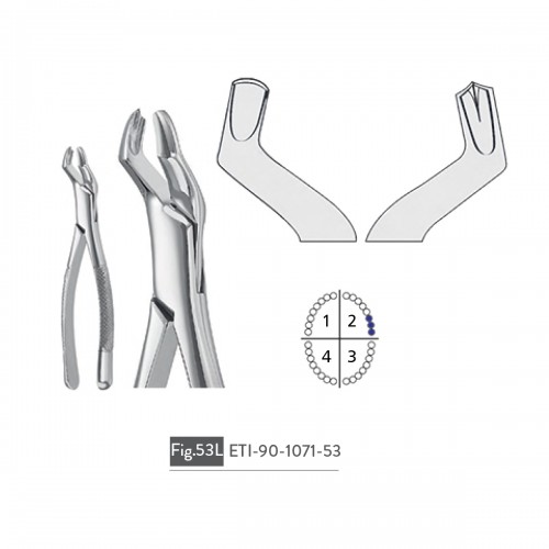 EXTRACTING FORCEPS