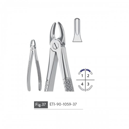 EXTRACTING FORCEPS