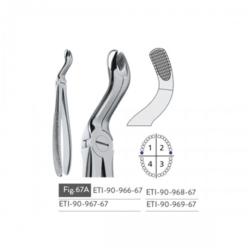 EXTRACTING FORCEPS
