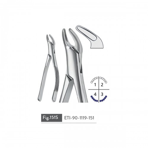 EXTRACTING FORCEPS