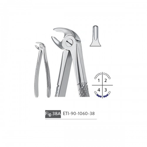 EXTRACTING FORCEPS