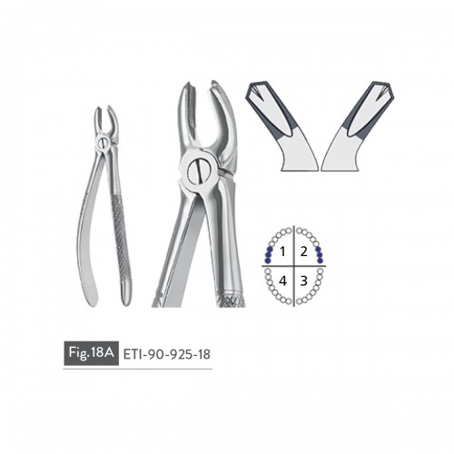 EXTRACTING FORCEPS