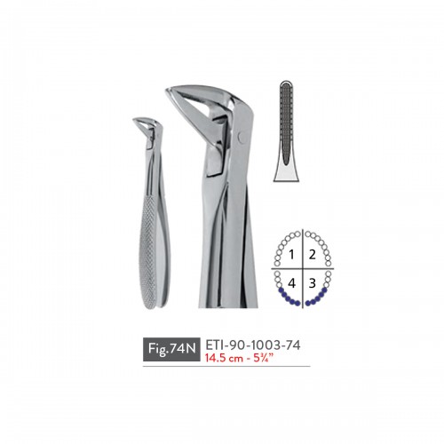 EXTRACTING FORCEPS
