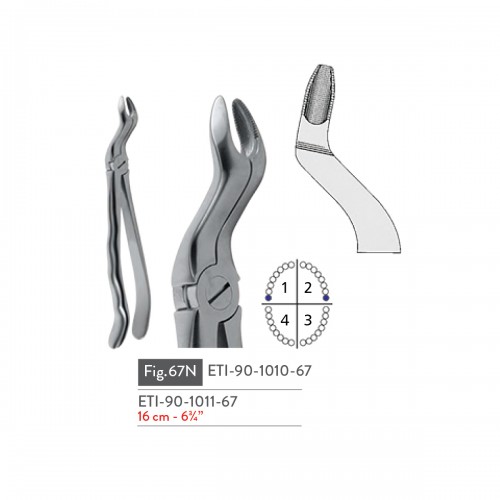 EXTRACTING FORCEPS