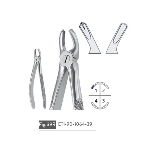 EXTRACTING FORCEPS